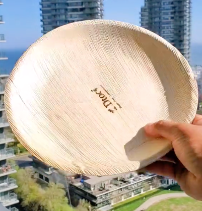 Palm Leaf Plates