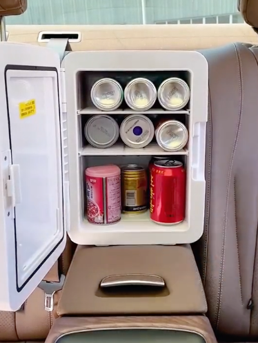 Mini Fridge